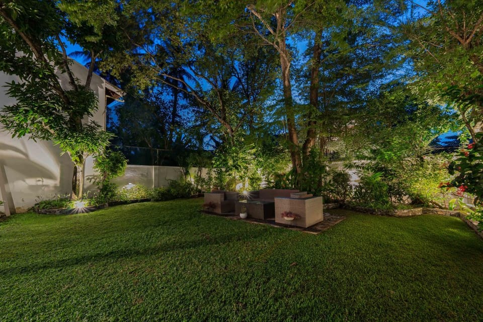Day, Natural landscape, Garden, Garden, Garden view