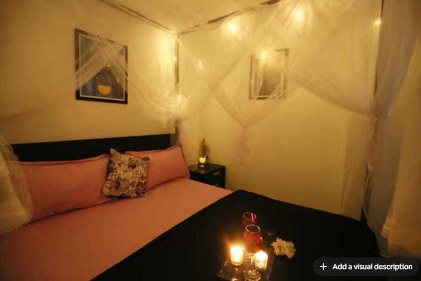 Entire Apartment With Movie Theatre Apartment in New Delhi