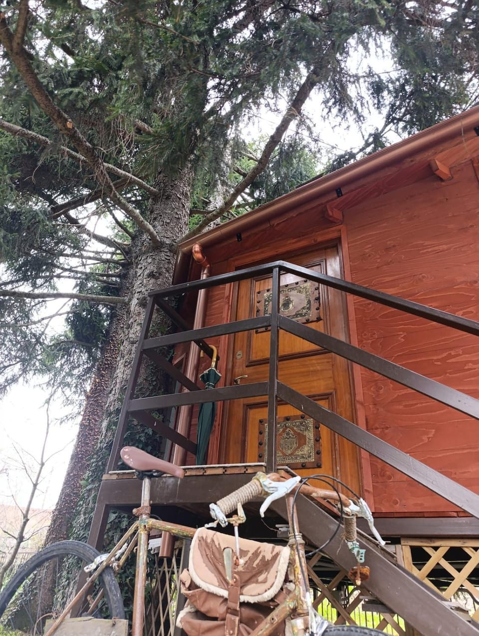 Casetta sull'albero Bed and Breakfast in Piedmont
