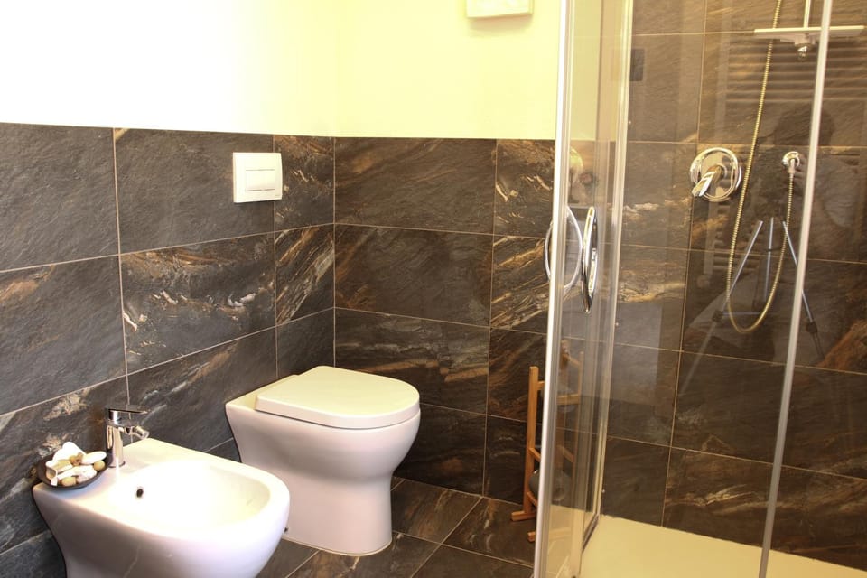 Shower, Toilet, Bathroom, bidet