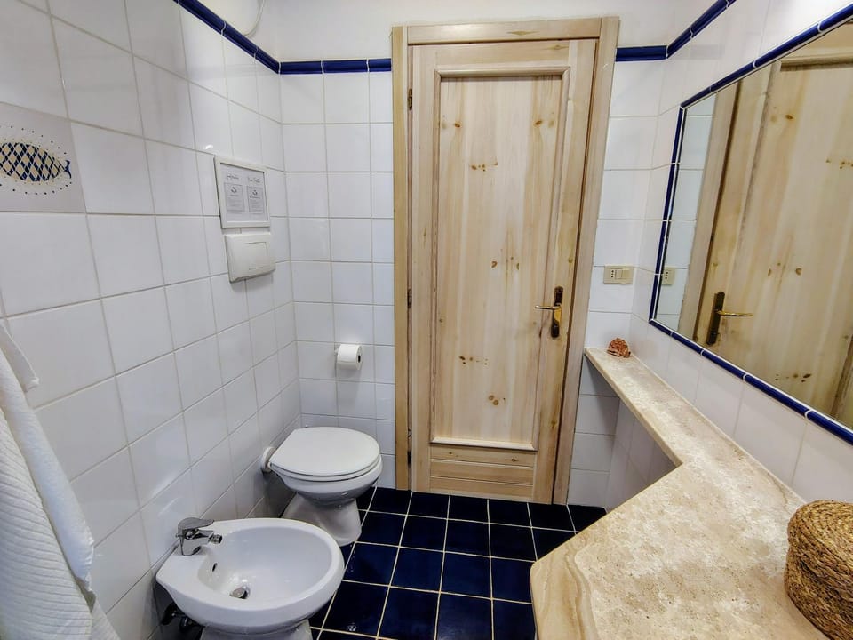Toilet, Bathroom, bidet
