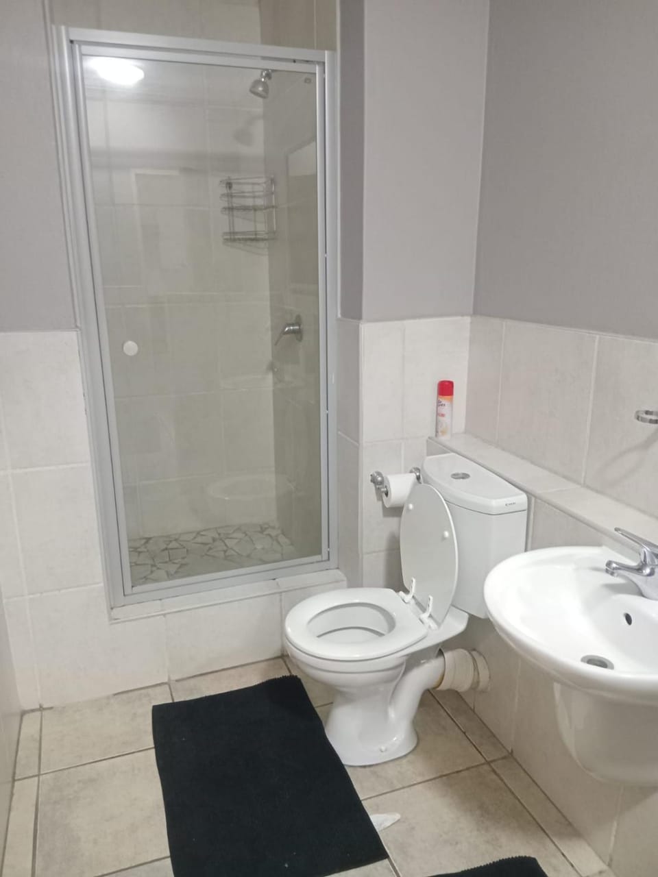 Westpoint Sandton 1 Bedroom Apartment in Sandton
