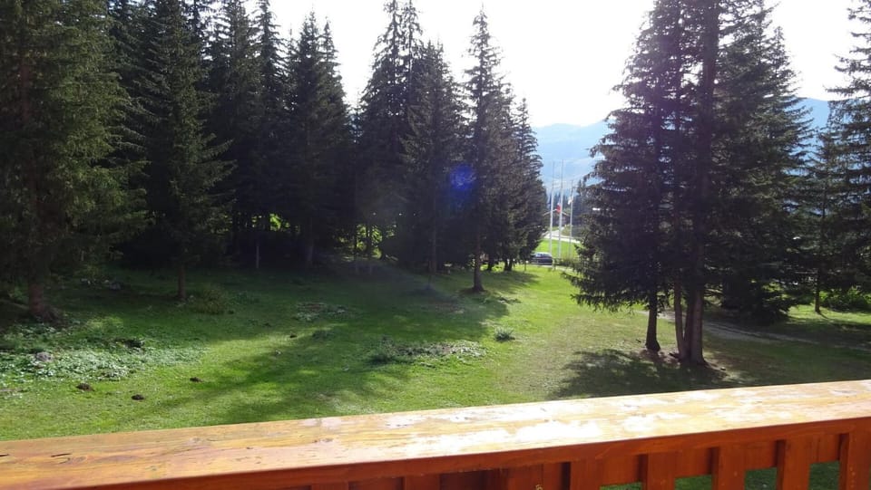 Résidence Les Dauphinelles - Studio pour 4 personnes à Méribel Altiport proche des pistes et du golf MAE-3024 Apartment in Les Allues