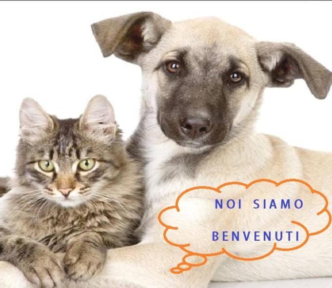 Incantevole alloggio con box auto Apartment in Sanremo