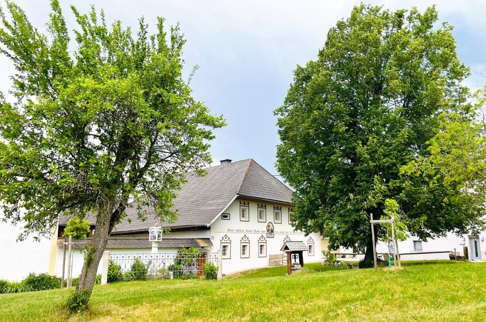 Property building, Natural landscape, Garden view