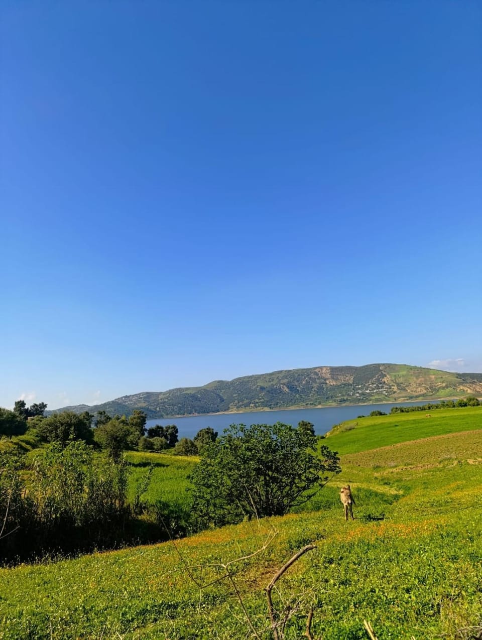 اهرب لعالم الهدوء الآن بيت ريفي للكراء بيت وسط الطبيعة راحة تامة Villa in Rabat-Salé-Kénitra
