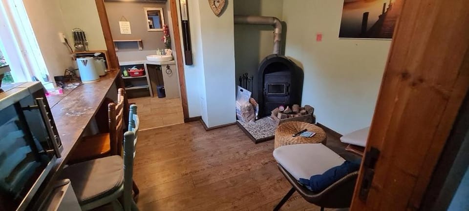 Kitchen or kitchenette, Living room, Dining area, oven