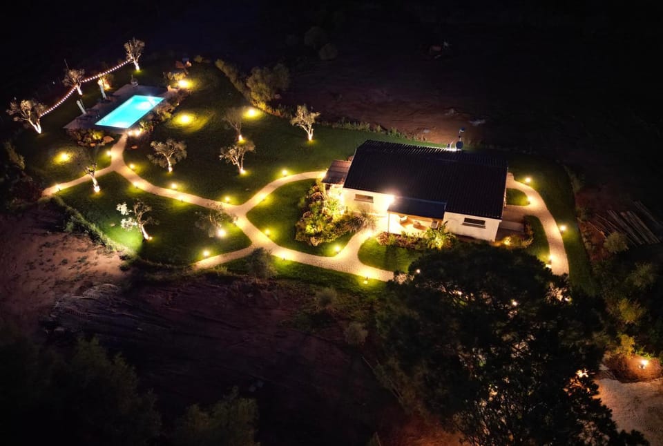 Night, Garden, Garden view, Pool view, Swimming pool