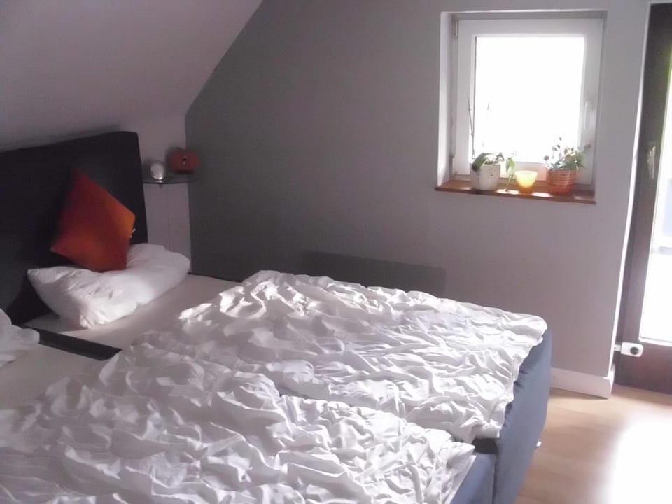 Alte Försterei House in Schleswig-Holstein
