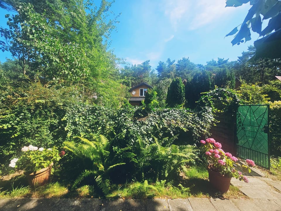 Sosnowa Ostoja Jurata House in Pomeranian Voivodeship