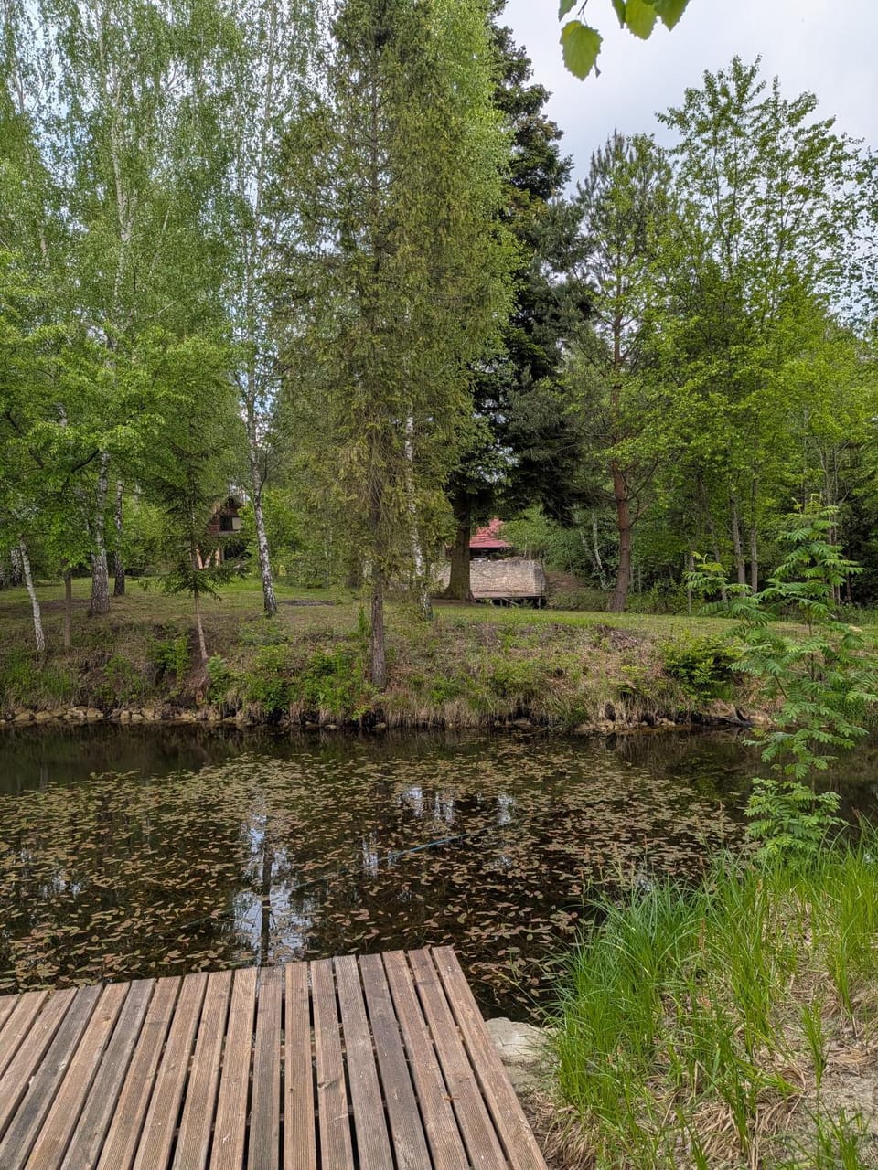 Lake view