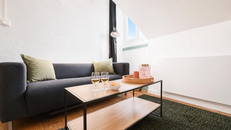 Sous les Toits de Pau T2 Cosy 4 Pers Apartment in Pau