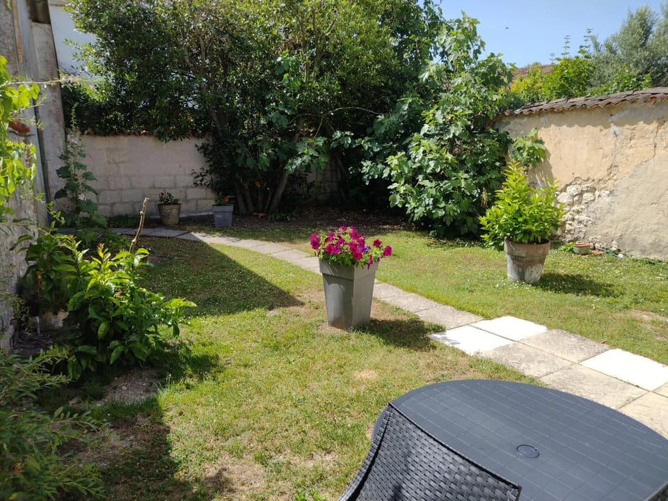Garden, Garden view