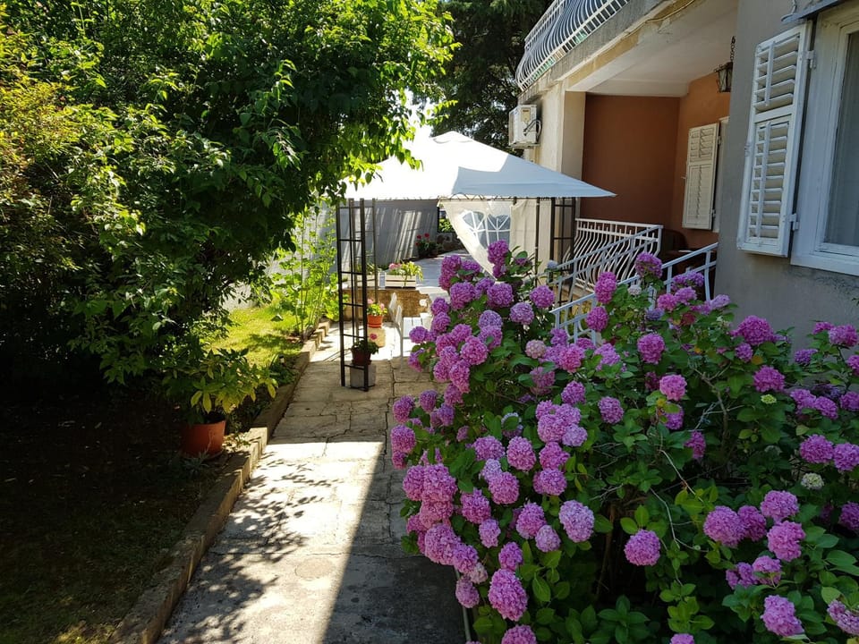 Garden view