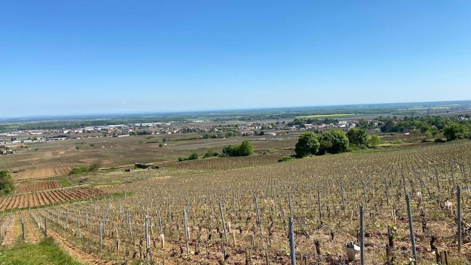 Le Meix de Jeanne House in Bourgogne-Franche-Comté