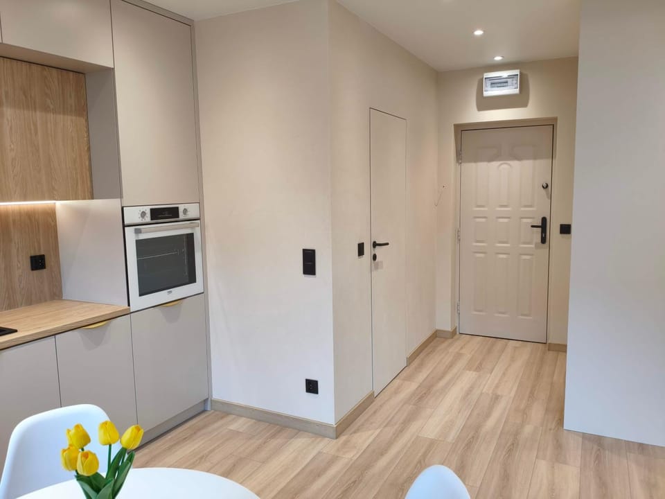 Kitchen or kitchenette, oven, stove