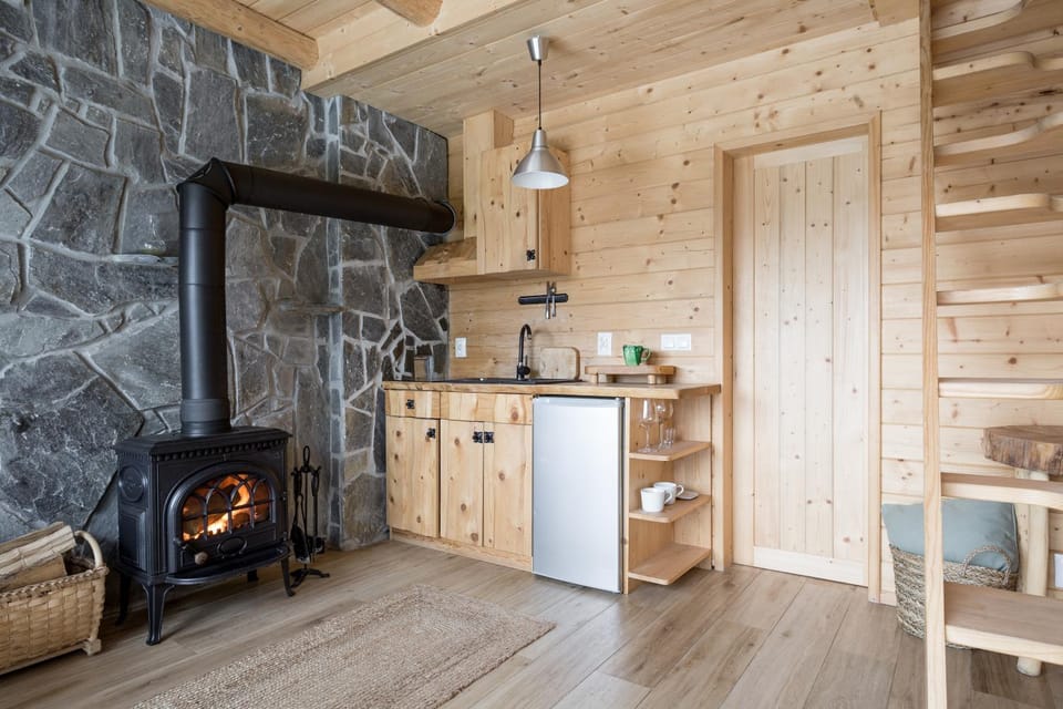 Kitchen or kitchenette, Living room, Dining area, fireplace, pet friendly, stove