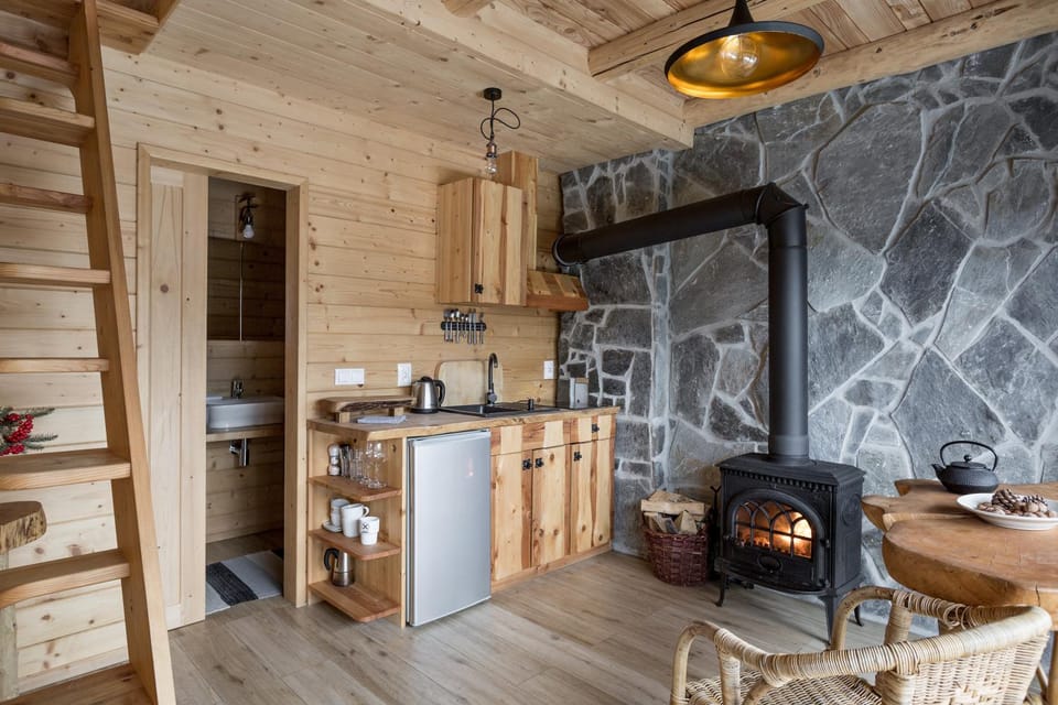 Kitchen or kitchenette, Living room, Dining area, fireplace, stove