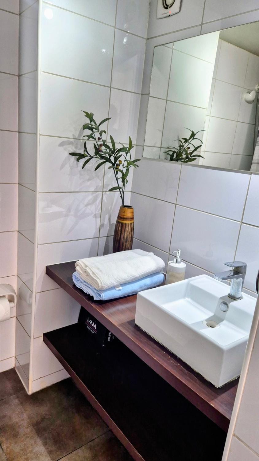 Modern 1 Bedroom Apartment Recoleta Bellavista Sacada Apartment in Recoleta