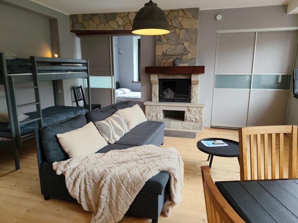 Living room, bunk bed