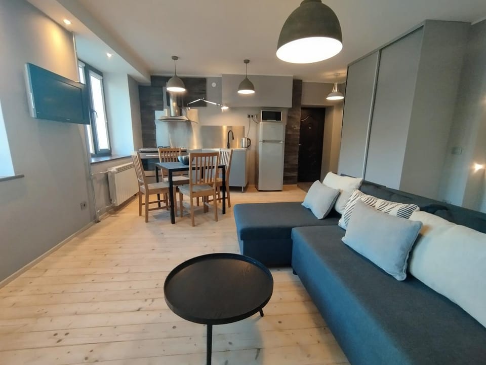 Kitchen or kitchenette, Living room, Seating area, Dining area, oven, pet friendly, stove