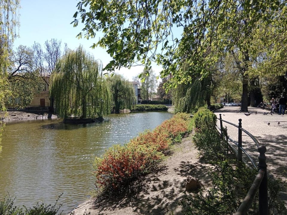 Natural landscape