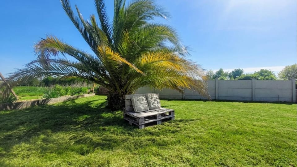 Natural landscape, Garden, Garden view