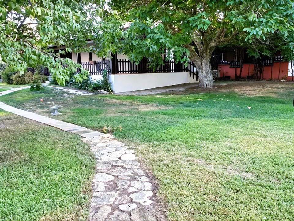 Spring, Day, Garden, Garden view