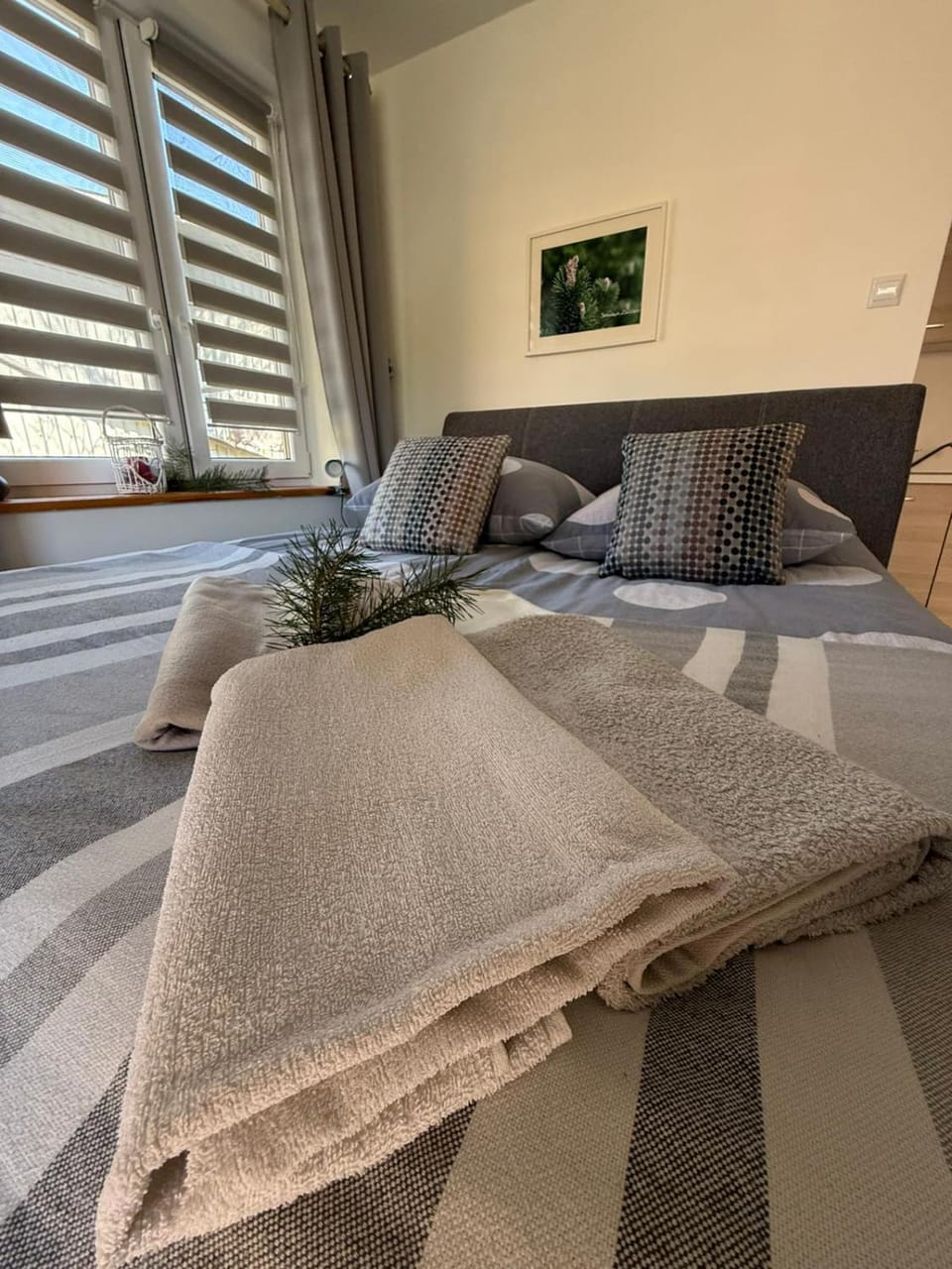 Sosnowe Zacisze Apartment in Lviv Oblast
