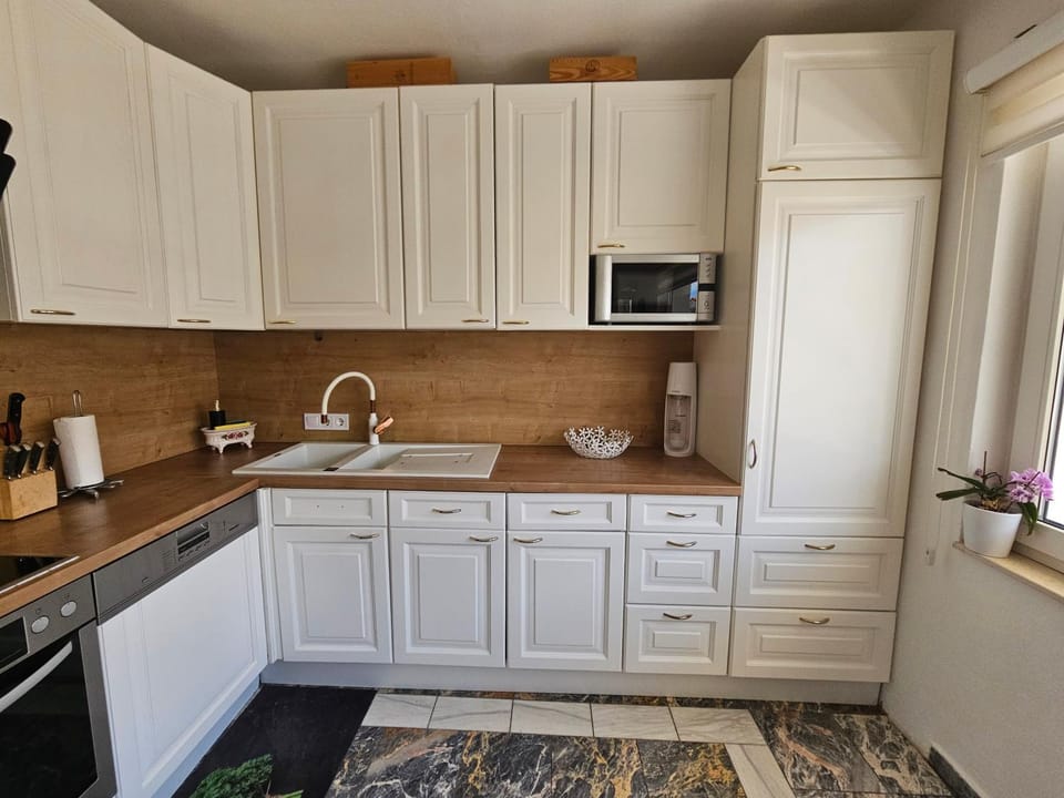 Kitchen or kitchenette, dishwasher, oven