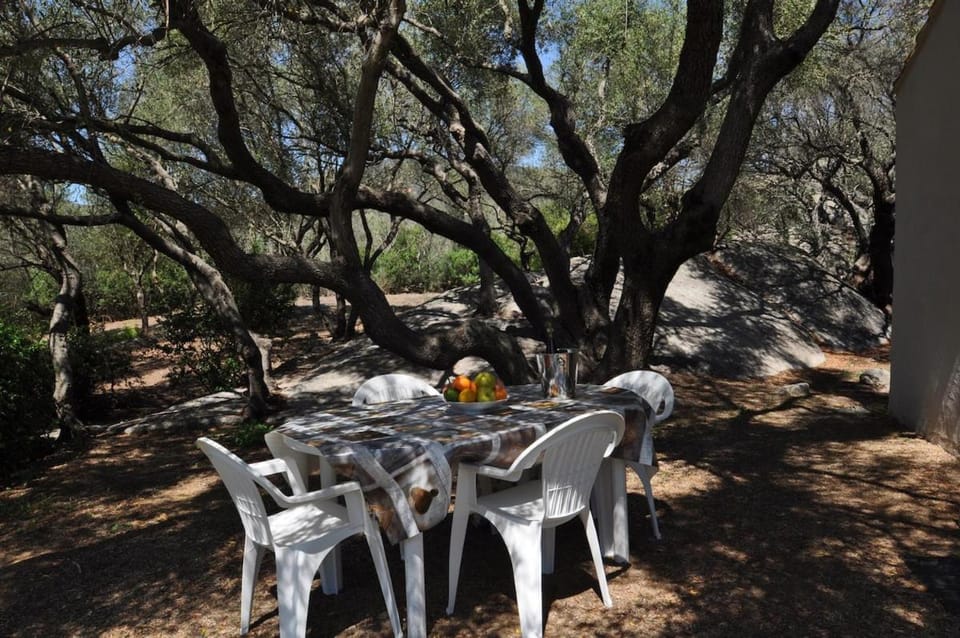Gallura stazzo among rocks and olive trees House in Sardinia