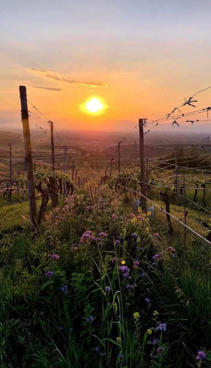 Natural landscape, Sunset