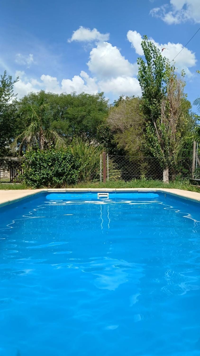 Garden, Swimming pool