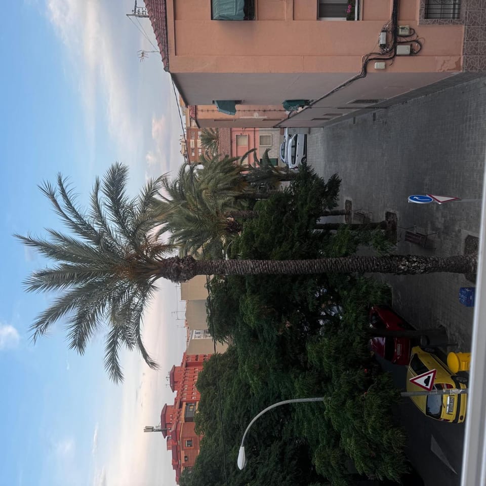 Day, Neighbourhood, Street view, Location
