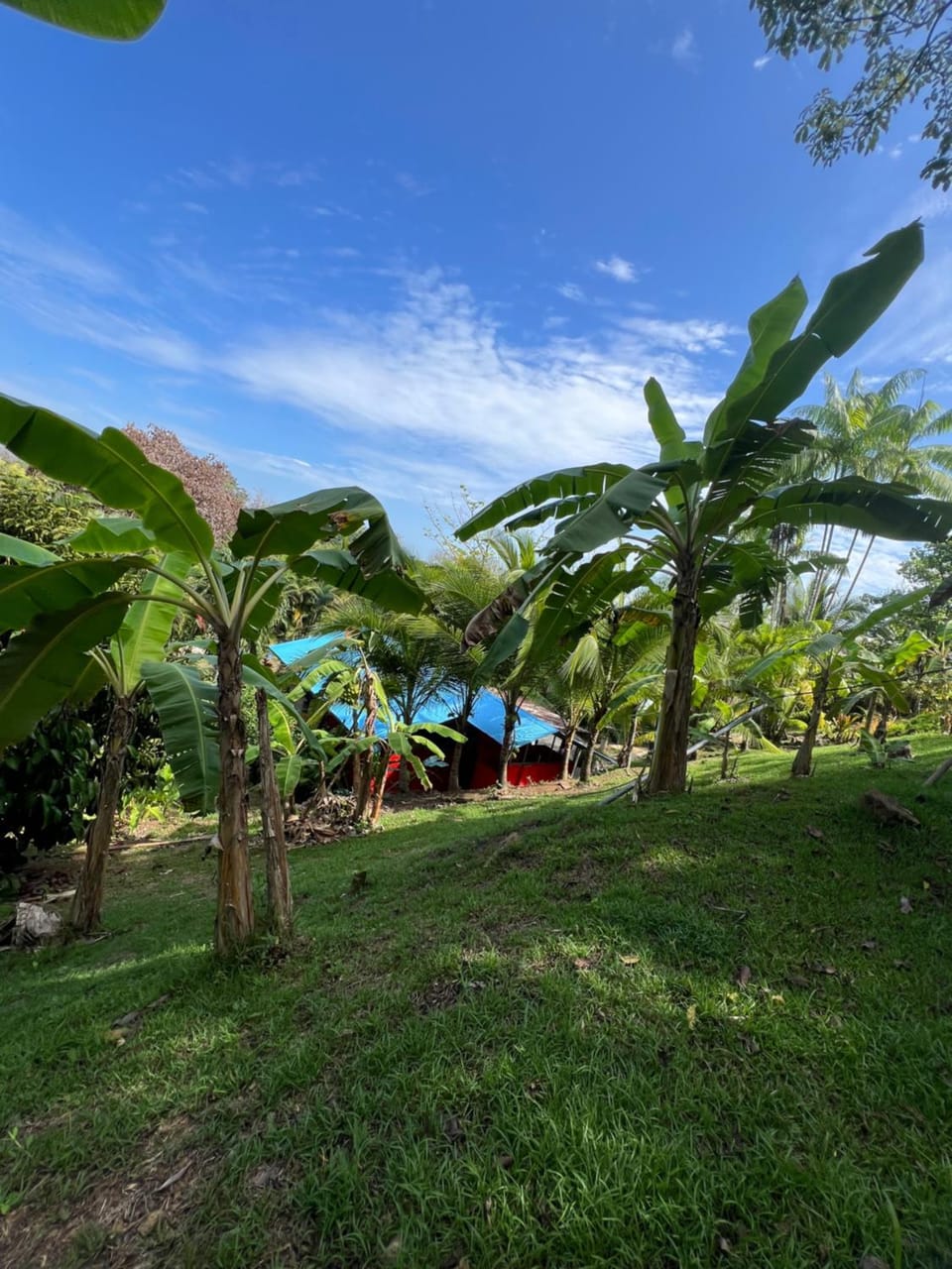 Dolphin Quest Apartment #1 Apartment in Puntarenas Province