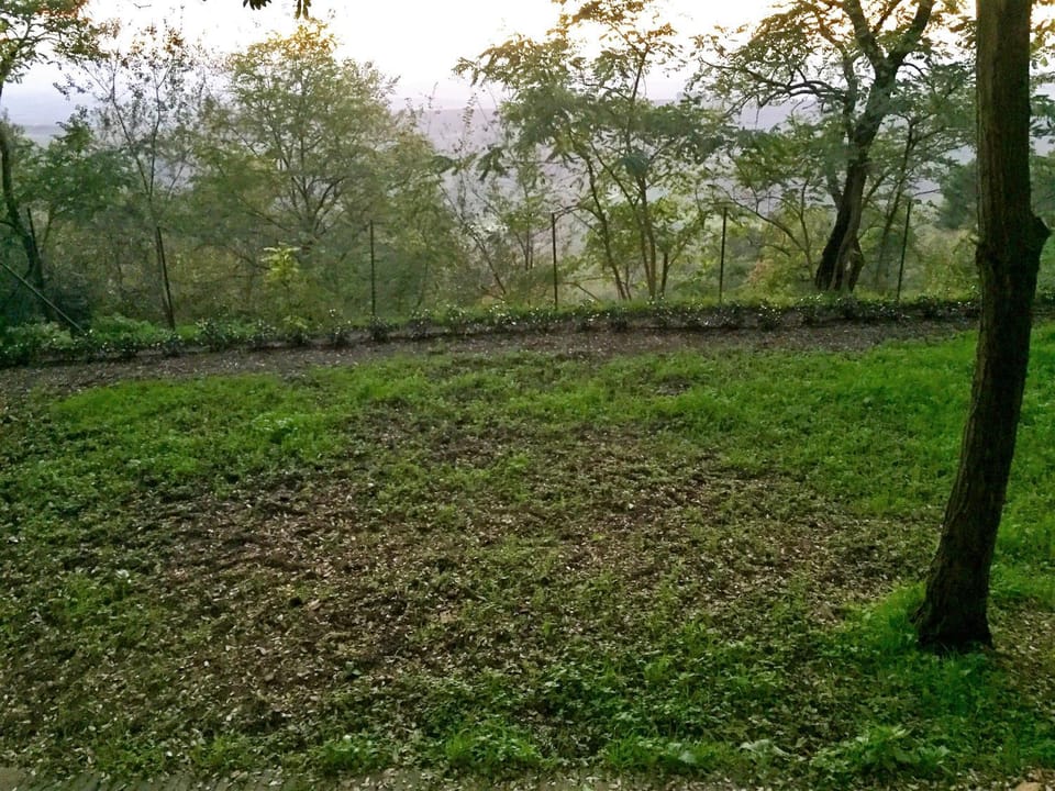 Area and facilities