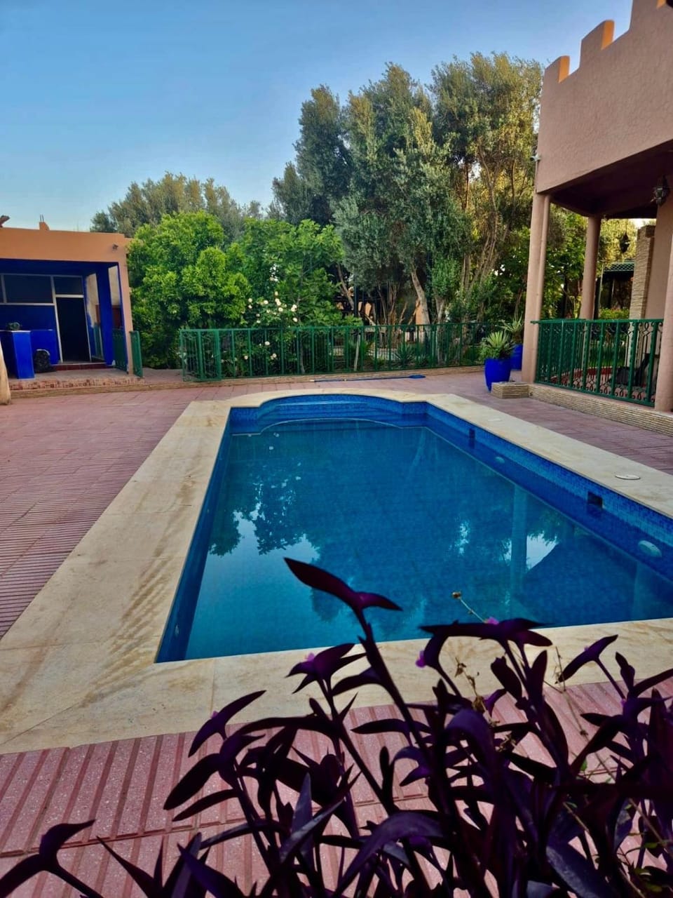 Property building, Day, Garden, Garden view, Pool view, Swimming pool