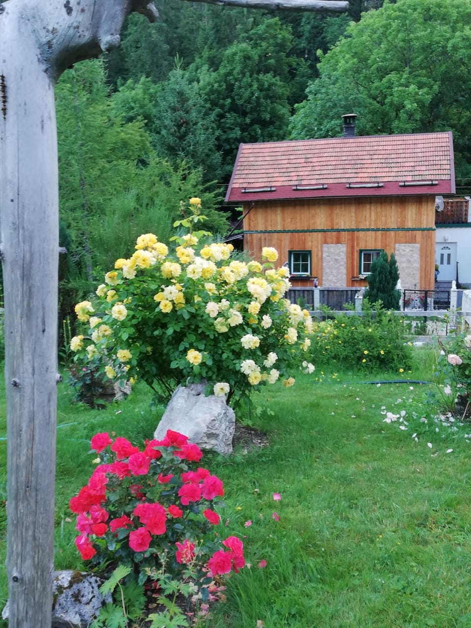 Altes Forsthaus am Bach House in Salzburgerland