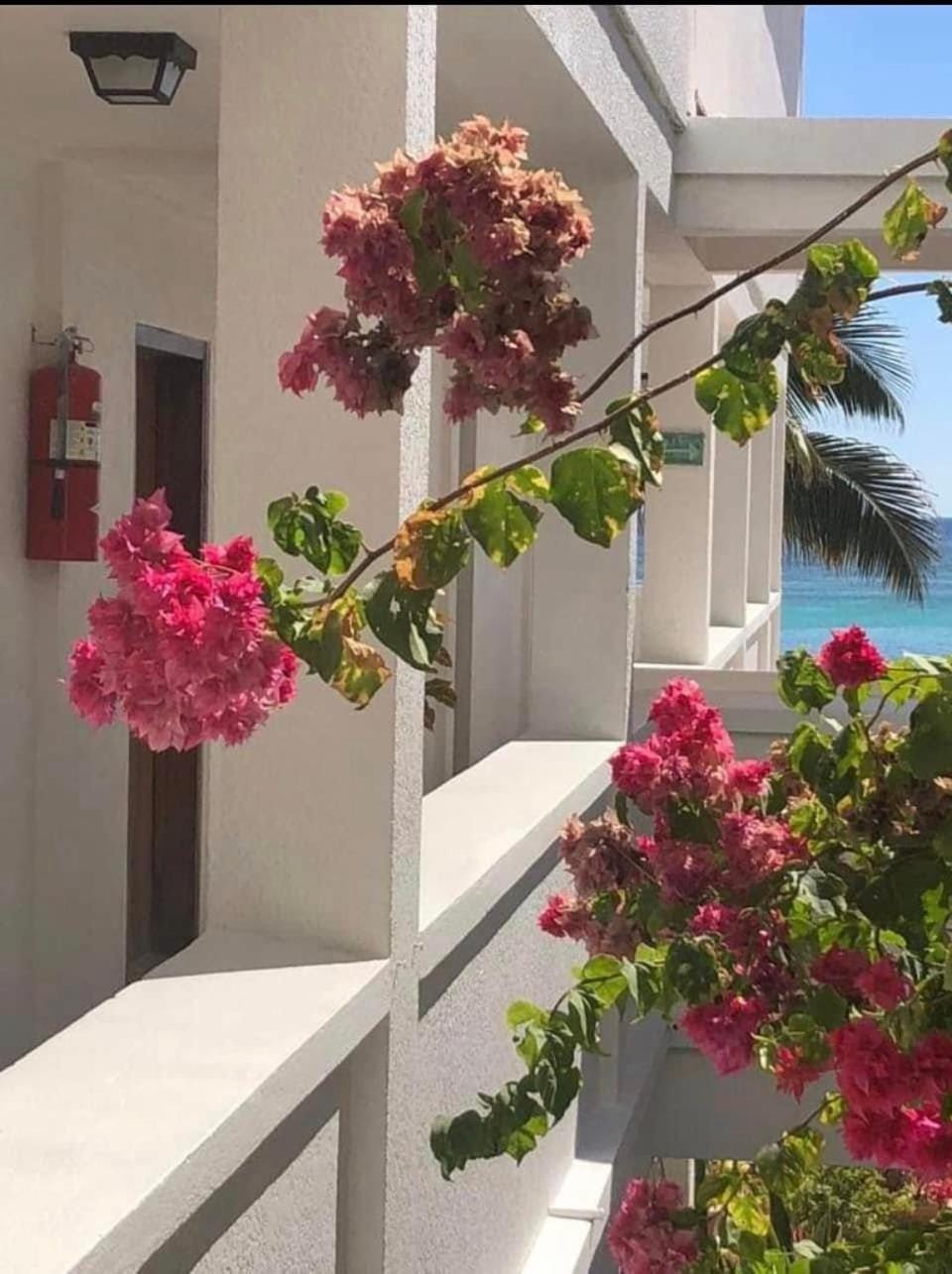 Hotel Spindrift & Golf Cart Rental Hotel in San Pedro
