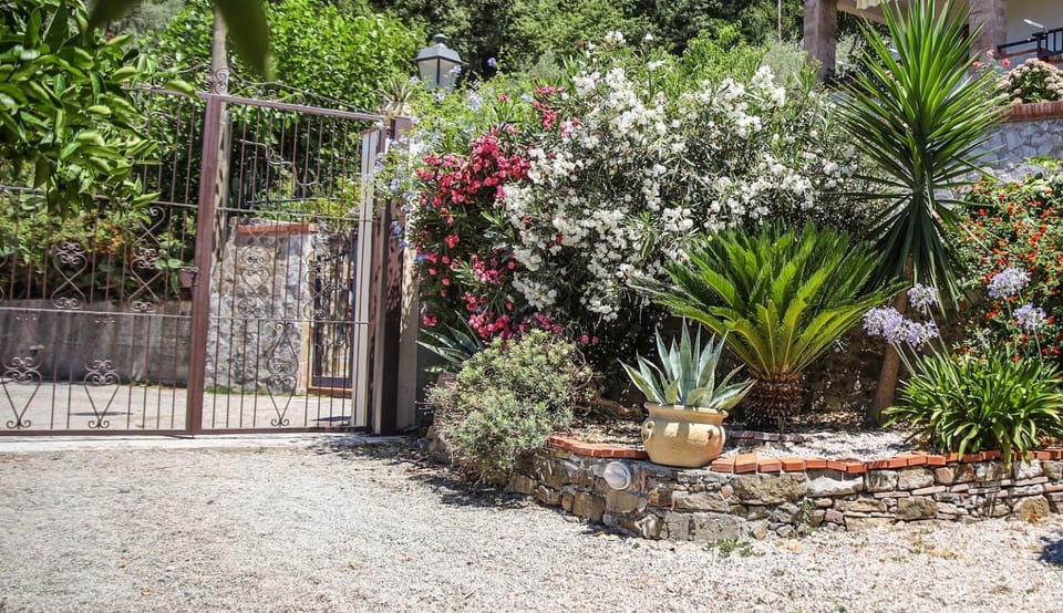 Facade/entrance, Garden