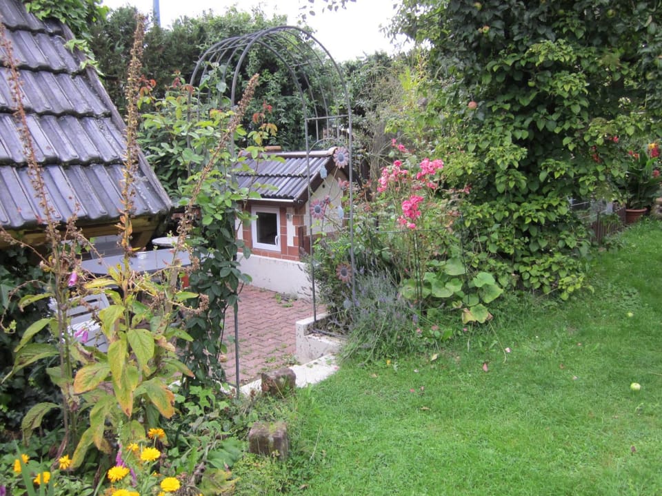 BBQ facilities, Garden, Other, Garden view