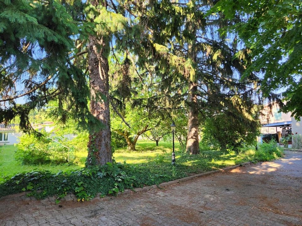 Spacieuse maison de 3 chambres avec option pour une 4ème disposant d'un grand jardin House in Auvergne-Rhône-Alpes
