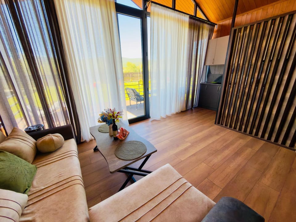 Tianuli Apartment in Georgia