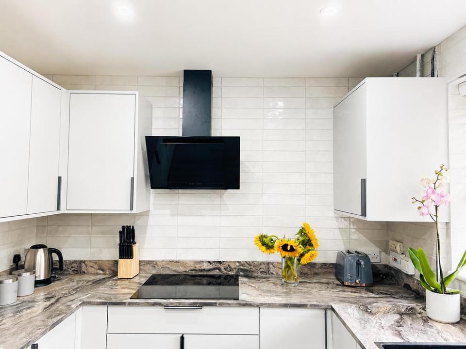 Kitchen or kitchenette, oven, stove