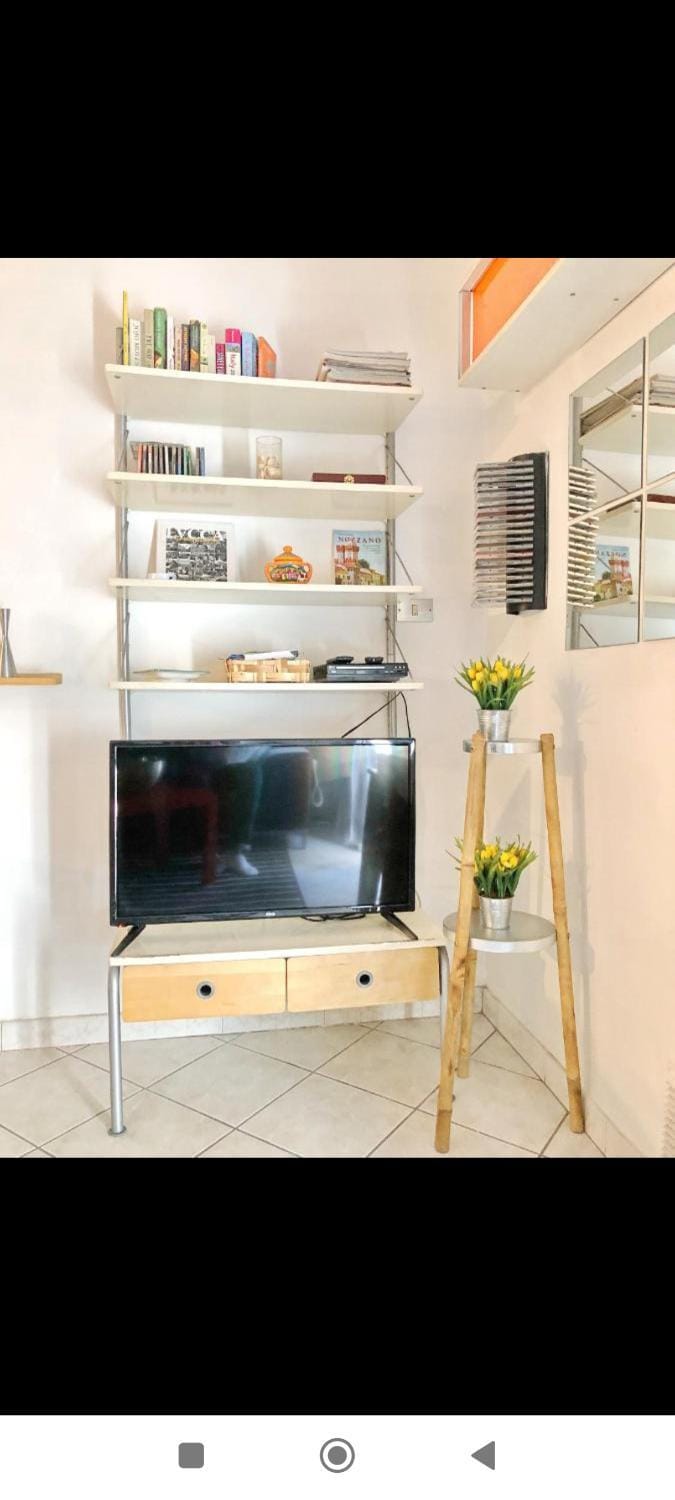 TV and multimedia