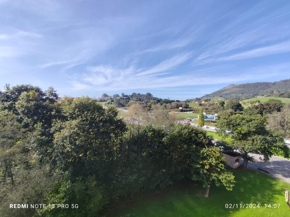 Garden, Mountain view