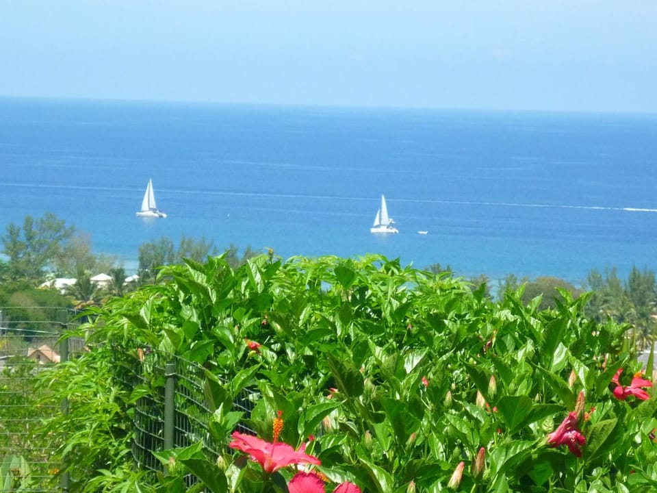 View (from property/room), Sea view