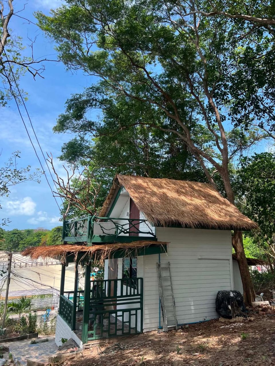 Benny monkey house House in Phe