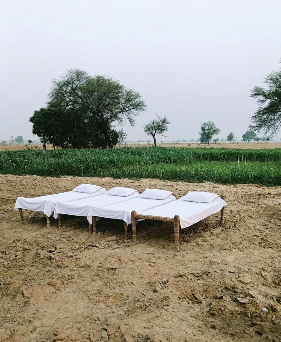 Joon Farm Farm Stay in Rajasthan