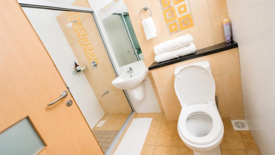 Shower, Toilet, Bathroom, bidet